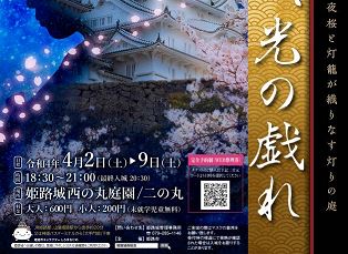 姫路城 夜桜会 千姫の庭 光の戯れ イベント ひめのみち