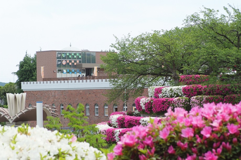 姫路市手柄山中央公園】お正月の寄せ植え作り (和風寄せ植え