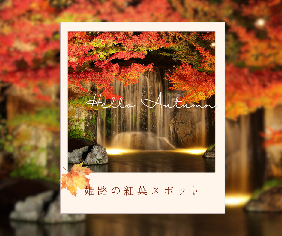 姫路で楽しむ「紅葉の秋」