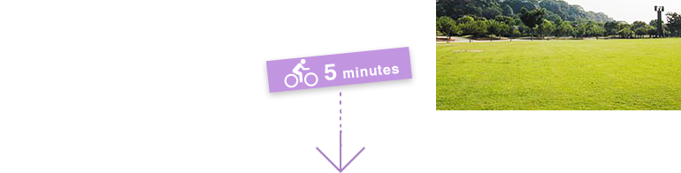 5 minutes