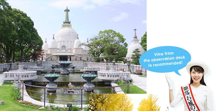 View from the observation deck is recommended!